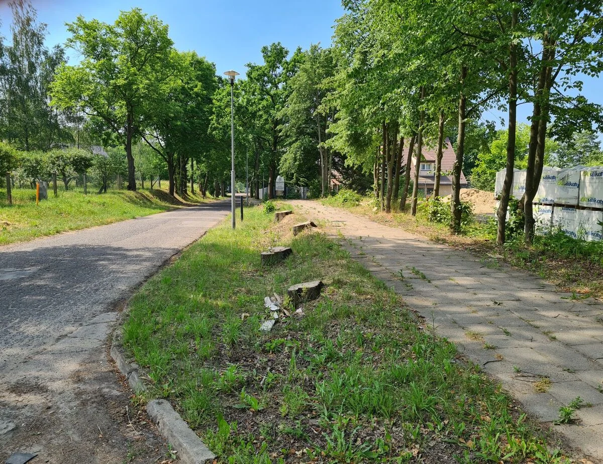 Inwentaryzacja - Jasne Blonia